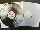 JOSEPHINE FOSTER & THE SUPPOSED All The Leaves Are Gone TEST PRESS LP 2004 Folk