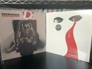 Josh Berwanger (The Anniversary) 2lps STRANGE STAINS + EXORCISM ROCK The Rentals