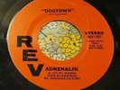 Raucous 1979 Hard Rock Bonehead Private 45 Adrenalin Dogtown SKATEBOARD HEAR
