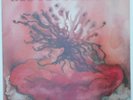 Roots Funk Reggae -  RED CLOUD IN DUB - ECHO label LP Soundclip