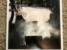 Pianos Become The Teeth Keep You Cola Colored Vinyl LP VG/VG+ La Dispute Foxing