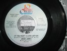 Jesse James  If You Want A love Affair  (US Demo Original )