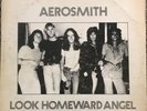 Aerosmith Look Homward Angel, Vinyl Record, The Amazing Kornyfone Record Lable