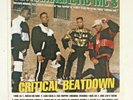 Ultramagnetic MC's Critical Beatdown Limited Ed 12