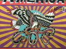 NEW SUPER RARE Sufjan Stevens - America Vinyl  - Limited to 1500 worldwide