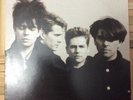 Echo And The Bunnymen LP