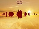 Bush Kate-Aerial VINYL NEUF