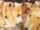 The Pharcyde - Labcabincalifornia [New Vinyl]