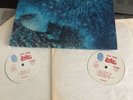 Love, Out There, Blue Thumb Records BTS 9000, 1969 PROMO 2 LPs, Psych Rock/Blues