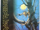 Iron Maiden - Fear Of The Dark - 2LP - Russian press 1993 - NM RARE