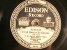 78 : EDISON 51443-GOLDEN GATE -A GARDEN IN SWEDEN / SOUTHERN ROSE - BOTH HOT
