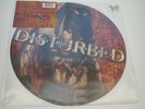 Disturbed LAND OF CONFUSION 2006 UK 12