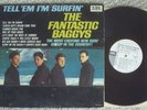 THE FANTASTIC BAGGYS 