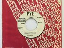 DAVID BOWIE - I DIG EVERYTHING / I'M NOT LOOSING SLEEP - UK PYE 1996 PROMO 7