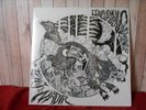 DENGUE DENGUE DENGUE - ZENIT & NADIR  2 VINYL LP NEW