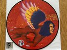 David Bowie / The Man Who Sold The World / Vinyl LP Picture Disc