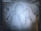 Kate Bush 50 Words for Snow vinyl LP Original 2011 Fish People Pressing - sealed