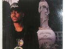 1989 THE D.O.C. NO ONE CAN DO IT BETTER LP RECORD RUTHLESS EAZY-E DR DRE TESTED