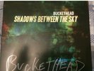 Buckethead : Shadows Between the Sky - Vinyl : Signed Record, Autograph