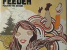 FEEDER, VINYL LP RECORD,  PUSHING THE SENSES, ORIGINAL, 2005,  GRADING VERY GOOD