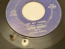 LITTLE RICKEY & RHYTHM EXPRESS TEXAS Funk 45 DO MY THING / BLACK MOLLY SOUL