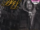 RSD - BIG L - THE DANGER ZONE LP PINK VINYL HIP HOP / RAP