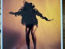 The Last Shadow Puppets - Everything You've Come To... Vinyl LP Arctic Monkeys