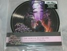 RSD 2020 Daniel Pemberton Samuel Sim Dark Crystal Age NEW picture disc vinyl