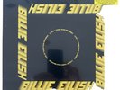 BILLIE EILISH LIVE AT THIRD MAN RECORDS RSD 2020 LIMITED BLUE LP VINYL SEALED