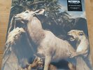 INTERPOL - Our Love To Admire (remastered) -Vinyl (2xLP) SEALED 10th Anniversary