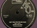 BRENDA HOLLOWAY/-/CAN'T HOLD THE FEELING BACK/-/-/THE SPINNERS//TELL ME HOW/ NEW