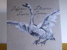 Sufjan Stevens - Seven Swans 2004 LP Vinyl (Includes Bonus 7