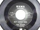 JIM EDGAR AND THE ROADRUNNERS Hey Little Girl / Apartment #9 45 Record Rock