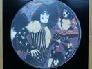 KISS Paul Stanley Solo Album Picture Disc Vinyl LP Japan Re-Issue VIPD1 NBLP7123