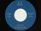 Garage Psych Fuzz Inst. 45 - Pebble Episode - Tripsy - J-2 - VG++ mp3