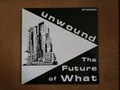 Unwound ?– The Future Of What - LP - 1995 -  Kill Rock Stars ?– KRS-245