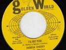 Theresa LINDSEY I'll bet you 45 uptempo NORTHERN SOUL wigan dancer HEAR ?