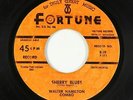 Blues/R&B Inst. 45 - Walter Hamilton Combo - Sherry Blues - Fortune - mp3