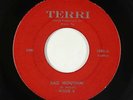 Blues 45 - Willie B. - Bad Mouthin'/This I Gotta See - Terri - mp3