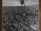 Crass--The Feeding of the 5000 (Small Wonder WEENY2 521984)