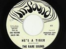 Surf Inst./Psych Funk 45 - Rare Sound - He's A Tiger - In-Sound - mp3