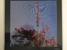 Friendly Fires - Inflorescent (CLEAR VINYL, LENTICULAR COVER) LP Vinyl Record