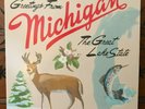 Sufjan Stevens - Michigan - 2X LP Vinyl Record, Near Mint NM Condition