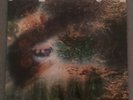 Pink Floyd A Saucerful of Secrets Mono LP Misspelling 