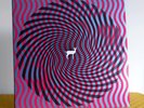 Deerhunter - Cryptograms / Fluorescent Grey 2007 2LP Vinyl