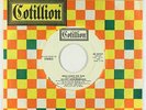 Rock 45 - Velvet Underground - Who Loves The Sun - Cotillion - mp3 - promo