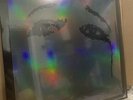 Deftones Ohms Clear Vinyl LP Exclusive Rainbow Sleeve. Sealed. Zine Not Included