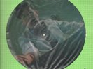 DEVO Are We Not Men LP VINYL UK Virgin 1978 12 Track Limited Edition Pic Disc In
