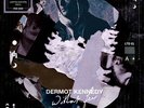 Dermot Kennedy - Without Fear Vinyl LP Picture Disc RSD 2020 NEW