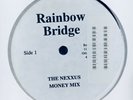 Rainbow Bridge NM 12